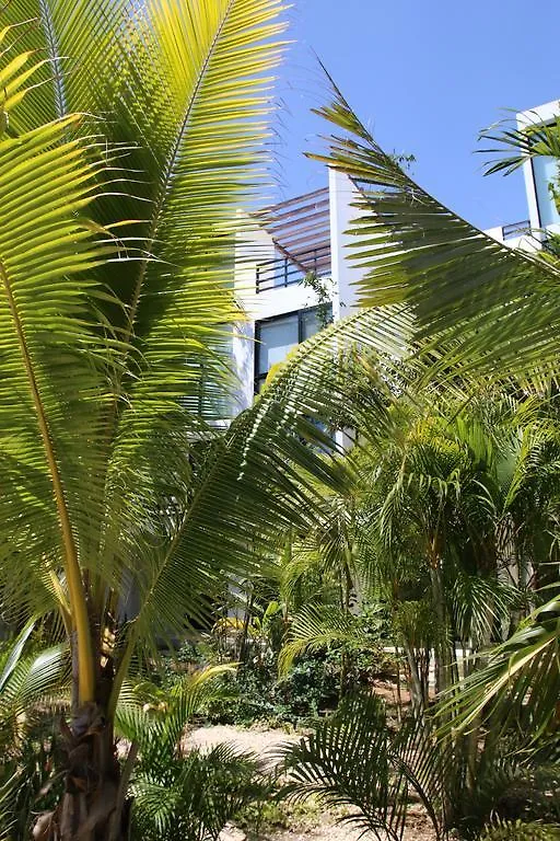 Aparthotel Anah Suites Tulum By Sunest Akumal